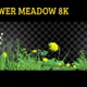 Meadow 8k - VideoHive Item for Sale