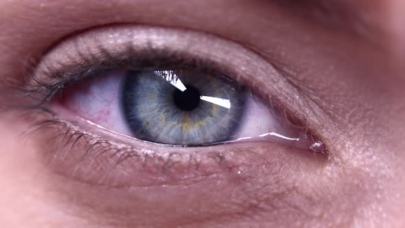 Female Green Eye Close Up Extreme Macro Iris Contracts