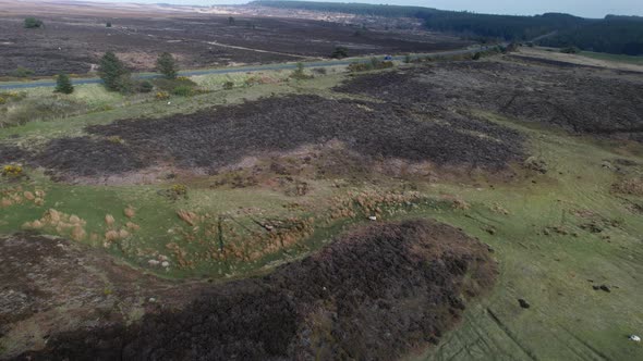 Extensive Scenery Of North York Moors National Park In England, UK Near The Goathland Village. Aeria