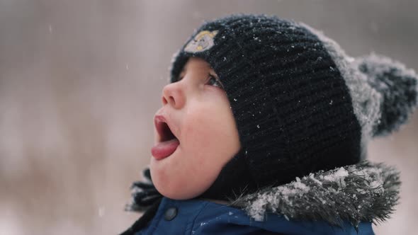 Cute Toddler Boy Catching Snowflakes with His Mouth Funny Slow Motion Footage