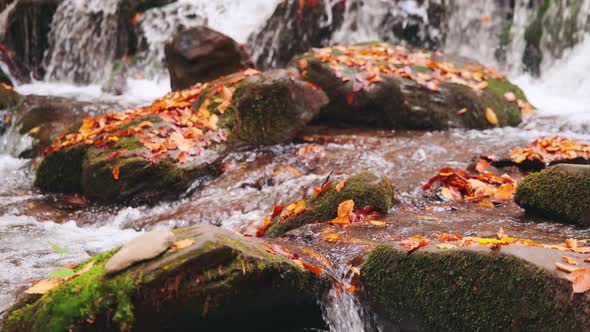 Large Boulders Overgrown with Moss at Waterfall