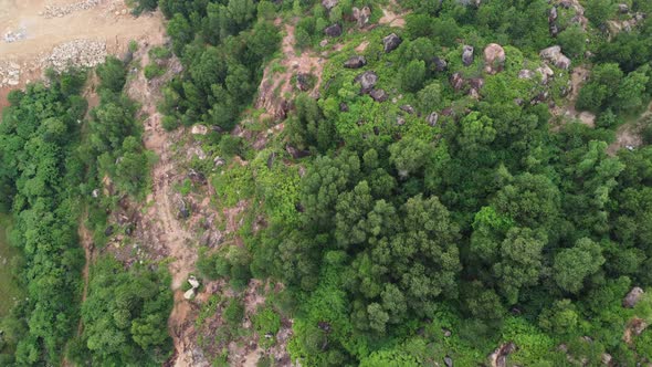 Deforestation of green tree in aerial view.