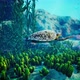 Underwater  Blue World 6 - VideoHive Item for Sale