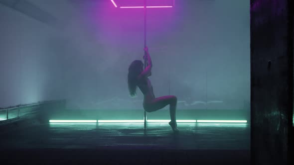 Sensual Poledance