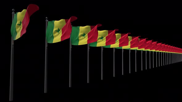 Row Of Senegal  Flags With Alpha 4K