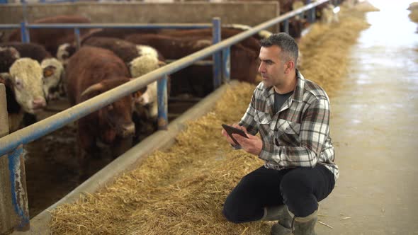 Modern livestock farm and modern farmer.