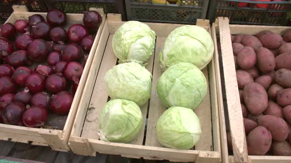 Vegetables on the Market Counter.