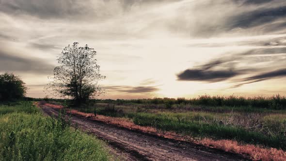 Sunset Summer Landscape