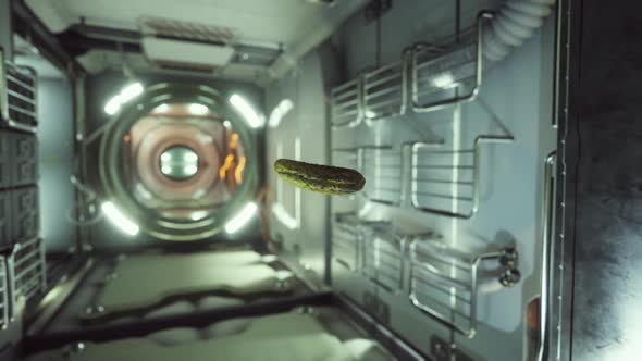Marinated Pickled Cucumber Floating in Internation Space Station