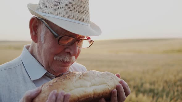 Senior Man with Glasses and Hat Kisses a Loaf of Bread and Smiles in Wheat Field