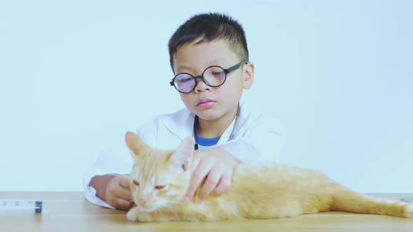 Asian boy dressed as a doctor is treating a cat.