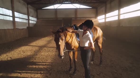 Young Female Rider Takes Care of the Horse, Strokes the Wool and Examines the Sled Horse 