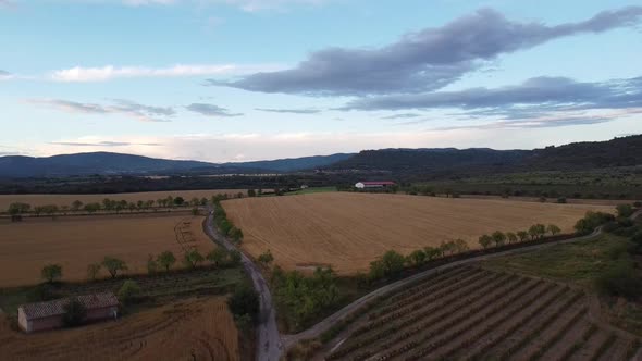 Flight Down Over Agriculture Fields, Aerial