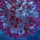 Fictional Image of Coronavirus Infection Looped 3 - VideoHive Item for Sale
