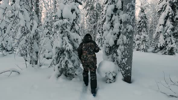 Woman Walking Through a Beautiful Winter Forest on Skis