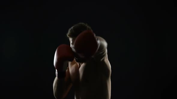 Young Man in Boxing Gloves Warming Up Before Training, Shadow Fight, Champion