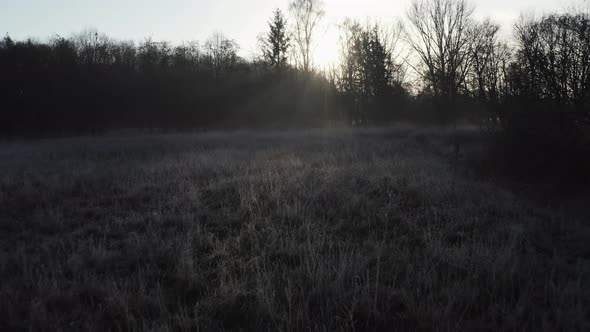 early morning winter landscape, tracking shot over frost-covered bushes into the dark, ray beams and