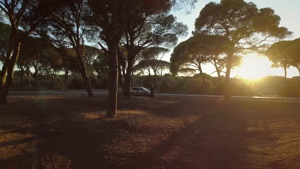 Aerial view of a man flying drone through the trees at sunset in Greece.