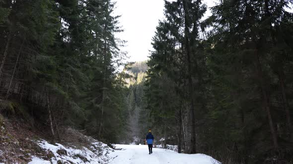 Back View Of A Person Walking OIn Dense Forest During Winter