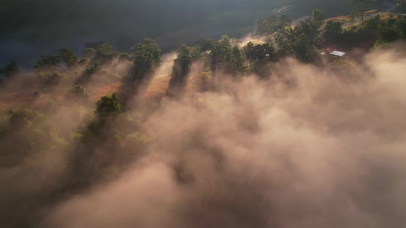 4K Aerial view of the misty sunrise in the forest. Tropical Rainforest in Thailand