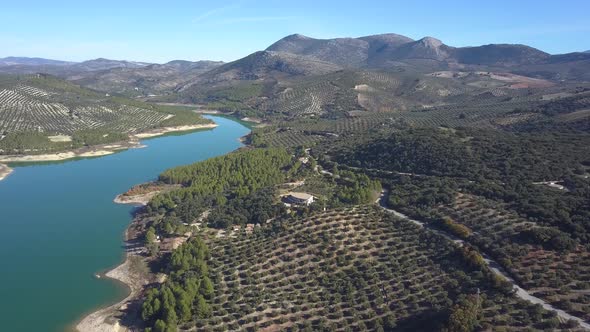 Aerial view of a big reservoir/lake surrounded by mountains and olives in the south of Spain.