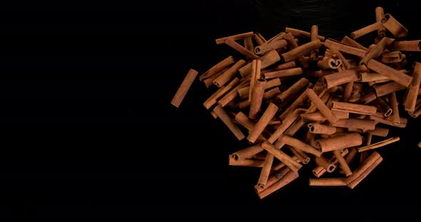 Cinnamon sticks, cinnamomum zeylanicum, spice falling against Black Background, Slow Motion 4K