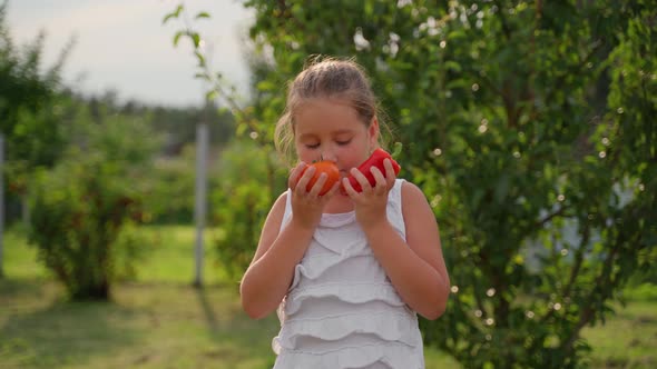 Portrait young girl with harvest vegetables in garden. Cute little child smile sniffing a tomato