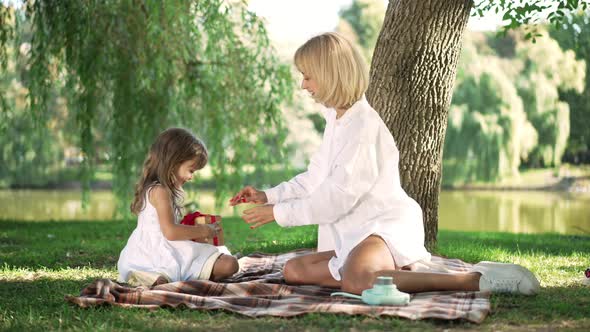 Wide Shot Excited Little Girl Receiving Gift Box From Woman Sitting on Blanket in Sunny Park