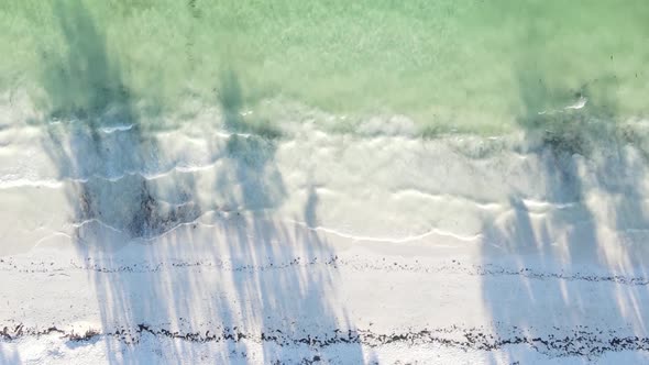 Vertical Video Empty Beach on Zanzibar Island Tanzania Aerial View