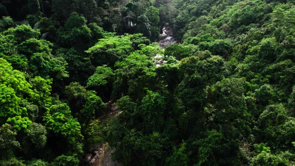 Aerial view over a dense scenic rainforest, Thailand