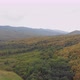 Aero View  Wild Autumn Forest - VideoHive Item for Sale