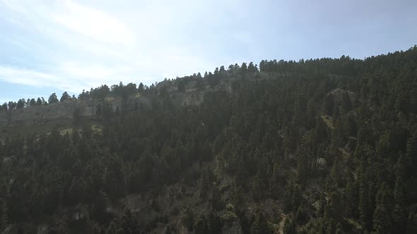 Forested Mountain Slope