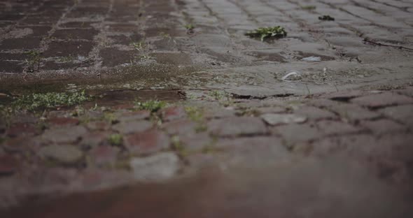 Slow motion tracking shot of raindrops falling on cobblestone pavement