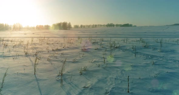 Aerial Drone View of Cold Winter Landscape with Arctic Field Trees Covered with Frost Snow and