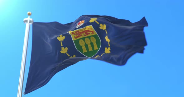 Standard of the Lieutenant Governor of Saskatchewan, Canada