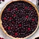 Sweet Delicious Homemade Forest Berry Tart - VideoHive Item for Sale