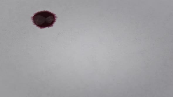 Red Blood Drips Onto White Paper Macro Shot