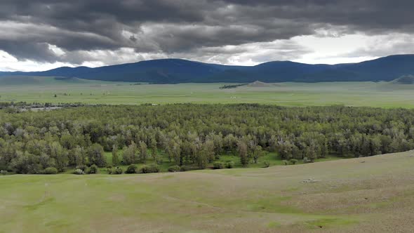 Trees, Forest and Vast Meadow in The Big River in Wide Valley of Asia Geography