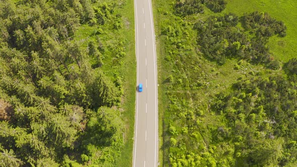 Aerial View Flying Over Two Lane Forest Road with Car Moving Green Trees of Woods Growing Both Sides