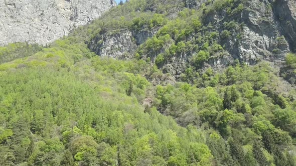 Aerial drone shot over green forest and mountains in Switzerland.