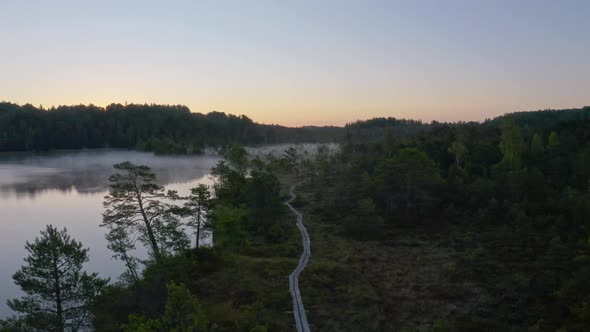 Bog and Lake