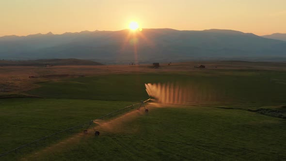 Center pivot linear irrigation system watering agricultural crops on farm during golden hour