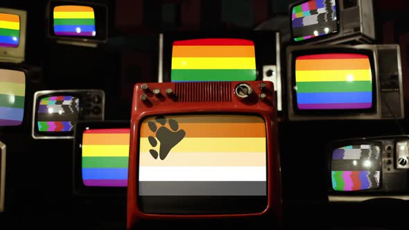 Bear Brotherhood Pride Flag and Gay Pride Flags on Retro TVs.