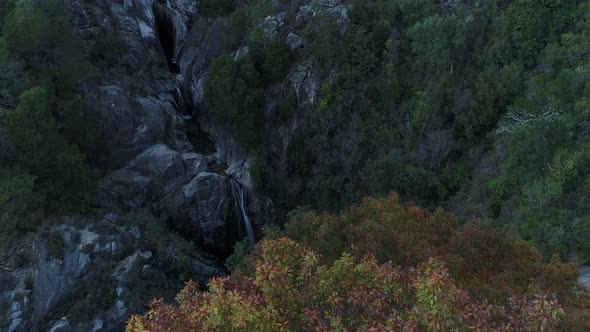 Forest Waterfall