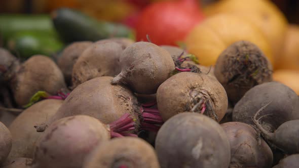 Freshly harvested red beets