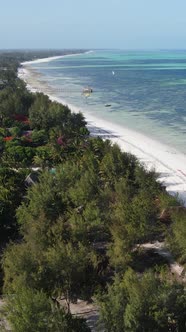 Vertical Video of the Ocean Near the Coast of Zanzibar Tanzania