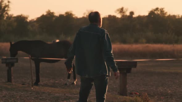 Farmer Enjoying Freedom Near Paddock