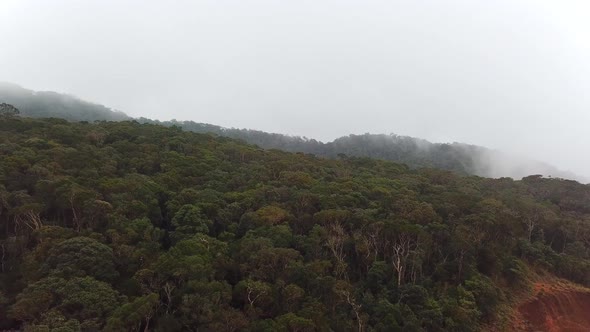 Misty Fog Blowing Over Tropical Forest.