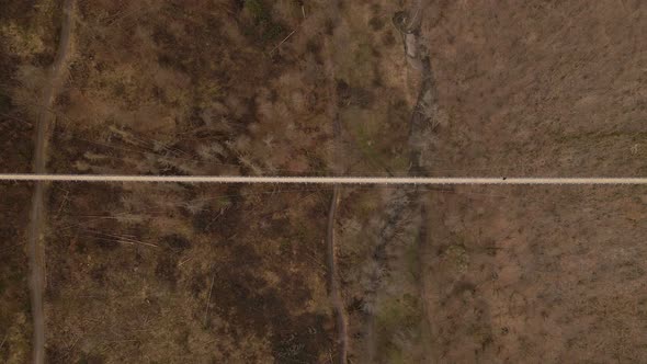 One person walking over a long,  expansive suspension bridge above a brown leafless forest. Aerial p