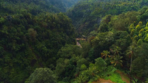 Flight Over The Jungle Of An Exotic Island. Mountain Gorge And Rice Terraces